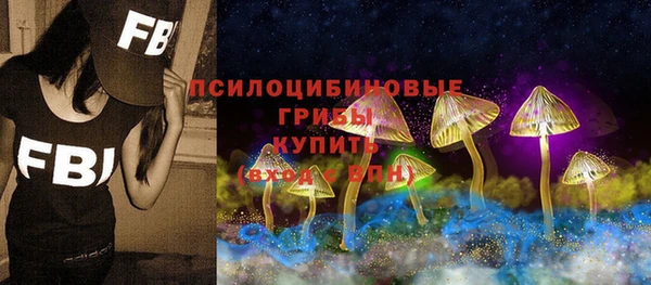 эйфоретик Алексин